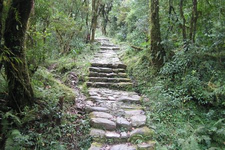 2 Days Panchase Hill Trekking