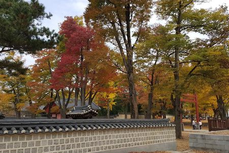 Jeonju City tour by KTX bullet Train from Seoul