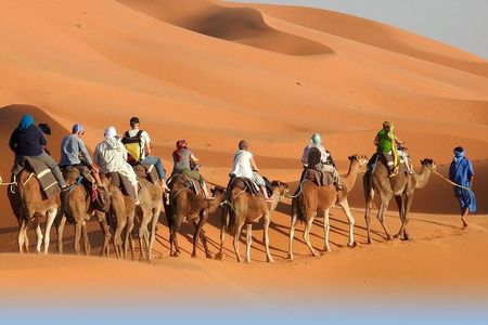 4 Days Desert Experience from Casablanca