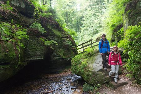 Luxembourg: Nature & Castle Day Trip