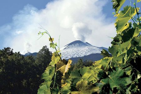 Etna and Wines Tour