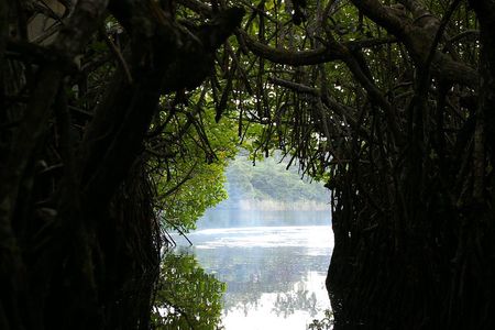 Private Day Tour: Negombo City Tour from Colombo