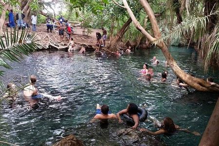 Kikuletwa (Chemka) Hot Springs Day Tour