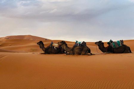  Desert Trip from Fes to Fes via Merzougua (2days,1night)