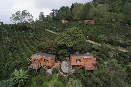 Coffee Experience at La Palma & El Tucan