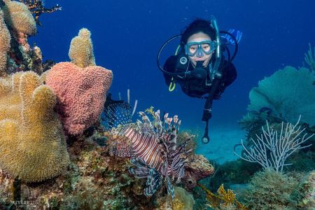 Private Bayahibe 3 Tank Diving with Lunch from Punta Cana 