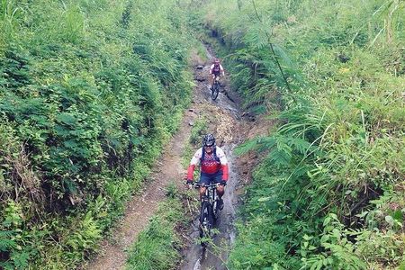 The Volcano Trail