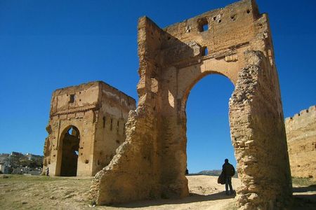 Fez Ramparts King palace jewish Quarter Merinides Tour tanneries