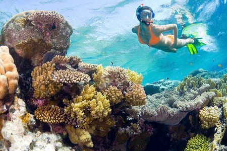 Catalina Island Snorkel Excursion from Punta Cana