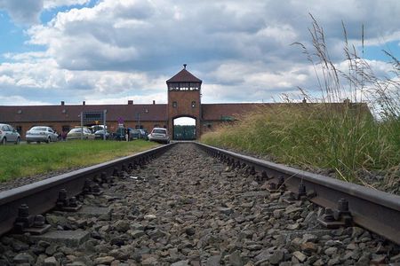 Auschwitz-Birkenau last minute guided Tour