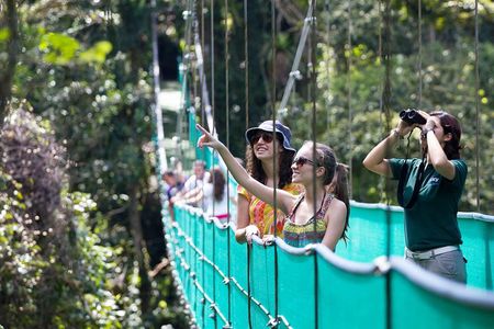 Sky Walk with Tour Guide From Arenal