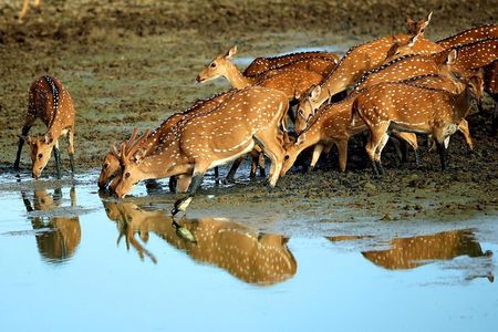 13-Day Sri Lanka Wildlife Adventure by Aaliya Tours