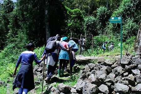 One Day Mt Bisoke Hike Adventure in Volcanoes Park ( 2 Pax Min)