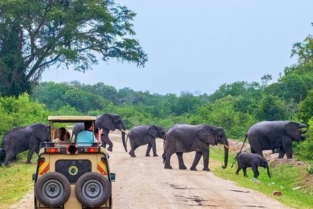 Private 02 Day Leopard Safari in Yala from Colombo