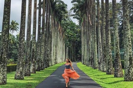 Private Kandy Day Tour from Colombo