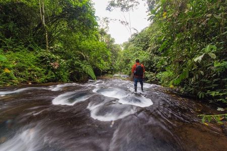 full-day | Waterfalls and Caverns Tour