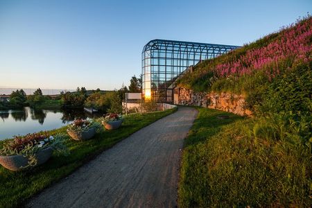 Best of Rovaniemi - Hidden gems and polaroid photos