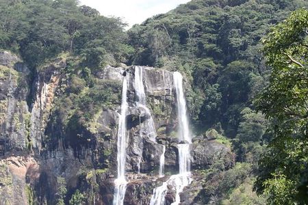 4 Days Mikumi & Udzungwa National Parks Safari