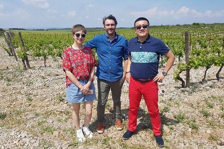 Languedoc Vineyard Tours