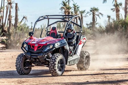 Buggy Tour in Marrakech Palm Grove 