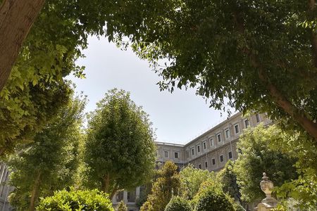 Reina Sofia Museum Small Group Tour -6 people maximum-