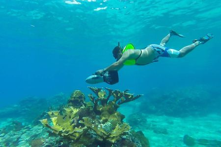 St. Lucia Speedboat and Power Snorkel From Castries