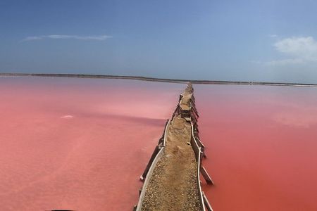 Pink Sea of Galerazamba