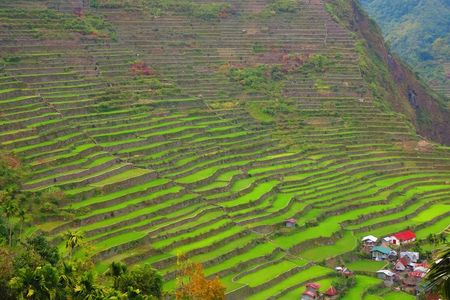 Banaue Rice Terraces Escape: 3 Days, 2 Nights with Transfers
