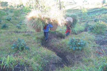 Batur Caldera Sunrise Trekking