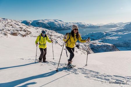 Tromsø: Winter Snowshoeing with Wandering Owl