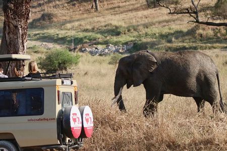 3 Day Serengeti National Park & Ngorongoro Crater Camping Safari