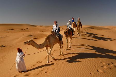 Camel Trekking Dubai with Morning Dune Bashing and Sand Boarding