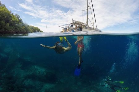 Diving and / or snorkeling day from a catamaran