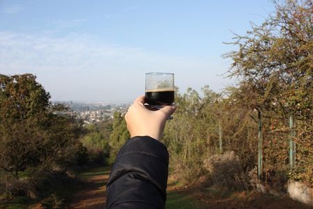 The Beer Trekking