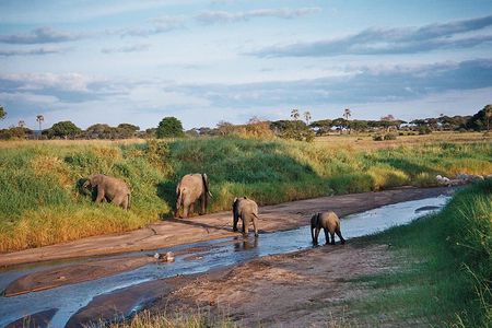 5 Days Tanzania Safari- Tarangire Np, Serengeti Np and Ngorongoro Crater