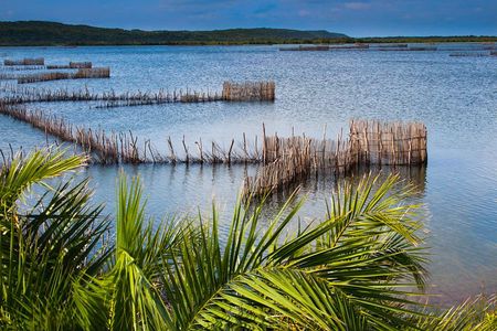 Kosi Bay Mouth Experience - Kayaking, Snorkeling, Fish Trap Tour and Fish braai