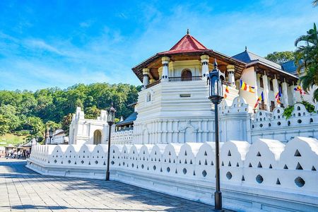 Private Day Trip To Highlights in Kandy.