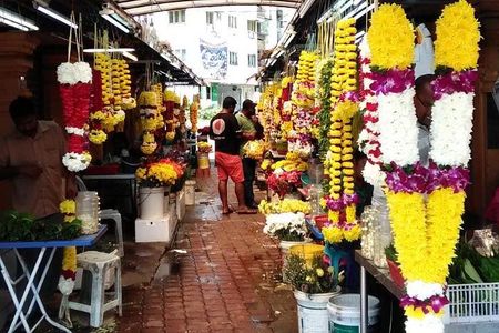 Kuala Lumpur InfoFun Walking Tour Experience