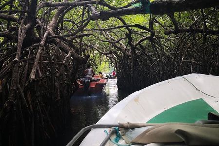 Bentota City Tour from Colombo Seaport