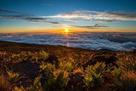 Private Haleakala Summit & Stroll from Kahului