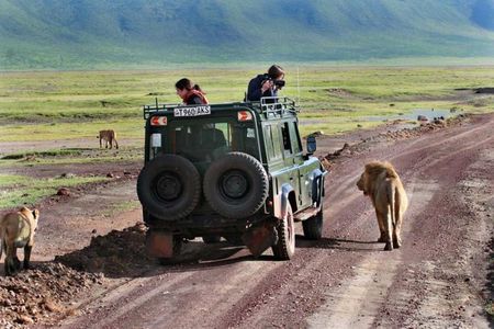 2 Day Private Safari in Lake Manyara and Ngorongoro Crater National Park
