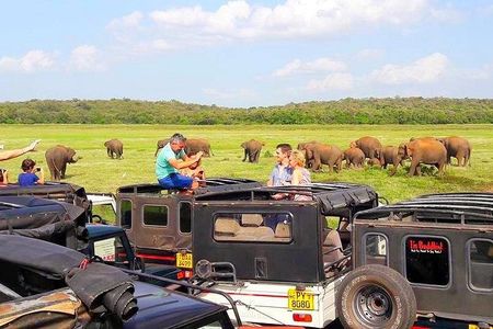 trip sri lanka (10 Days , 9 Nights) with driver, vehicle and H/B accommodations