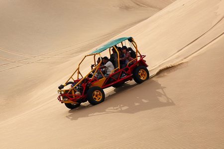 Full day PRIVATE to Paracas, Ica and Huacachina from Lima All Inclusive and Lunch