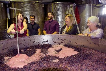 Mornington Peninsula Winery Tour - Lunch Included