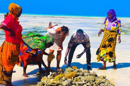 Jambiani Village Women at work and play