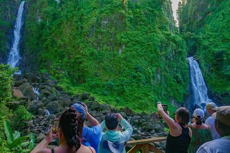Waterfall And Champagne Reef Adventure