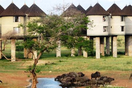 3 Days 2 Nights To Sarova Saltlick And Taita Hills