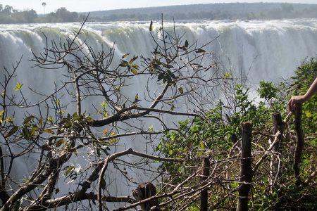 Guided Tour Of The Victoria Falls