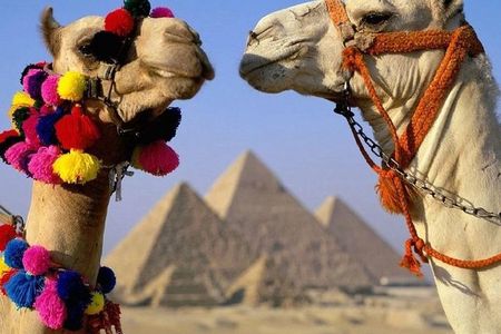 Half Day Tour to Giza Pyramids & Sphinx