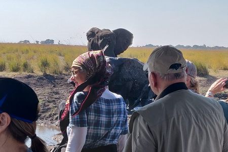 Chobe Day Trip From Livingstone